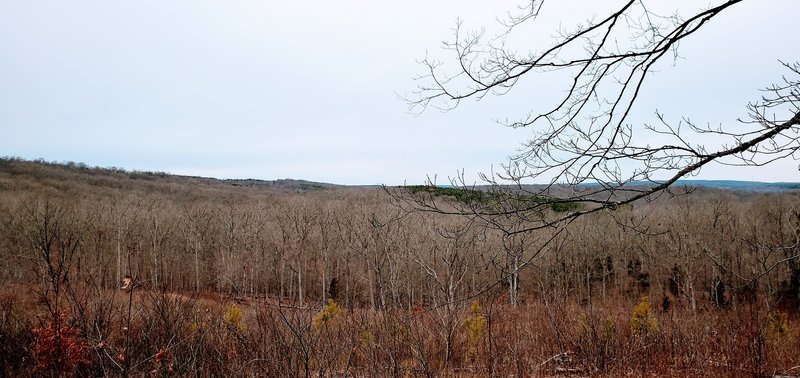 Although the hillside has been cleared to promote new/different growth, it affords nice views