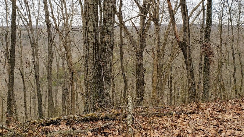 It's hard to see in the photo, but the trail skirts high above the Little Blue River