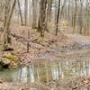 Creek crossing and trail split