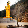 The temple at the bottom of the trail is actually quite large.