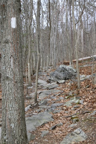 Mid-March outing to Ravens Rock.