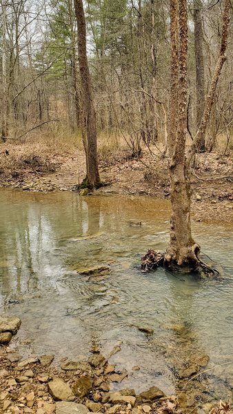 Shallow creek crossing a day after a 1/2" of rain