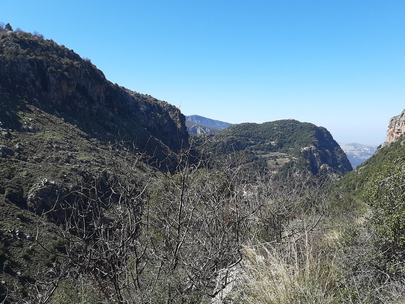 View of the valley after emerging from the forest