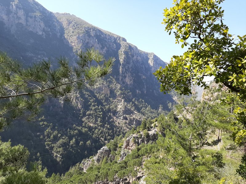 Qannoubine Valley from the LMT