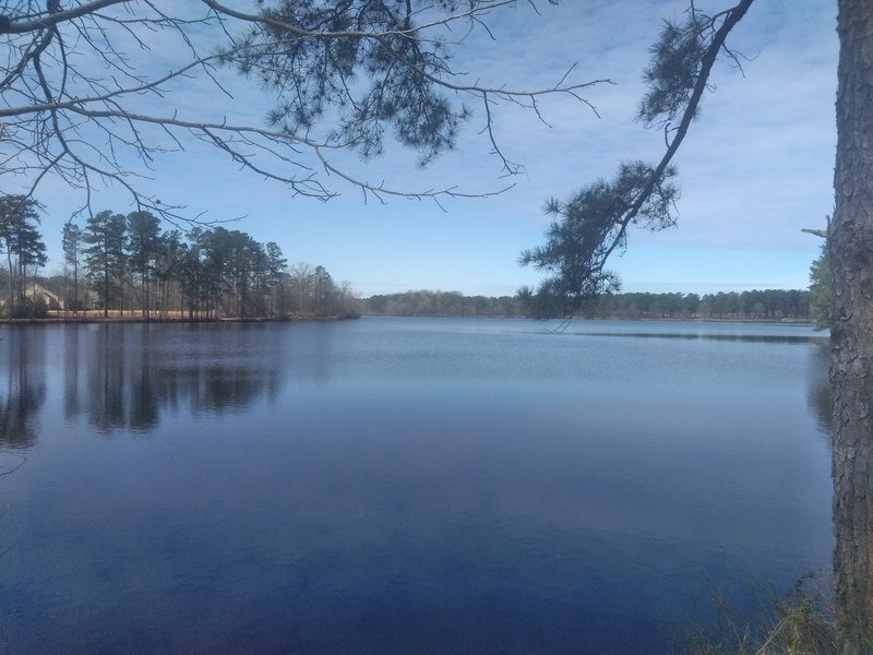 View of Lake Wilson from Parking Lot