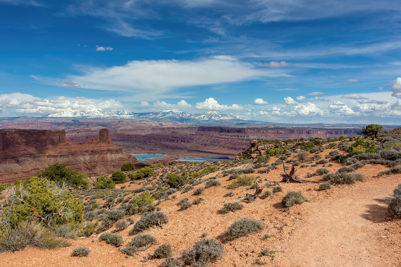 The East Rim Trail provides stunning views of the La Sal Mountains