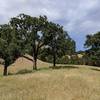 Sunol Regional Wilderness