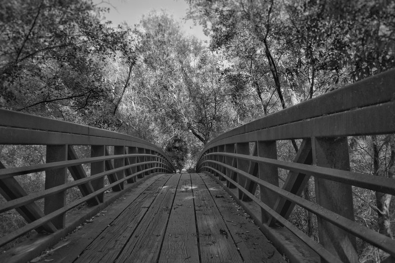 Sunol Regional Wilderness - Sunol, Ca