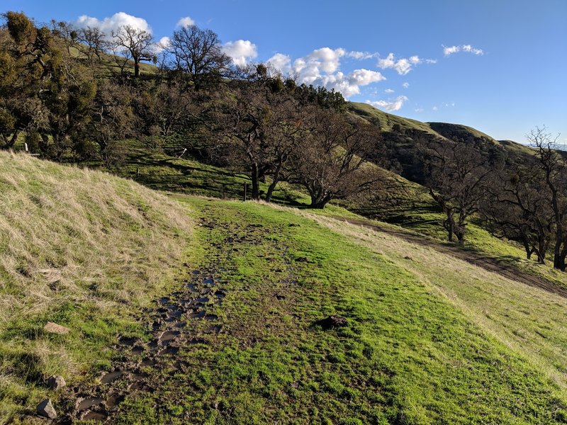 Sunol Regional Wilderness