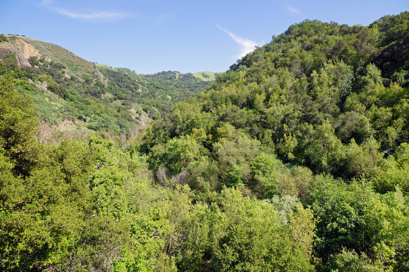 2012-05-06 Sunol Regional Wilderness Park 061 Canyon View Trail