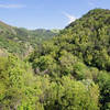 2012-05-06 Sunol Regional Wilderness Park 061 Canyon View Trail