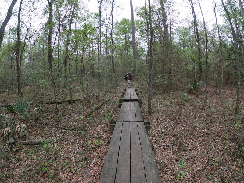 Boardwalk