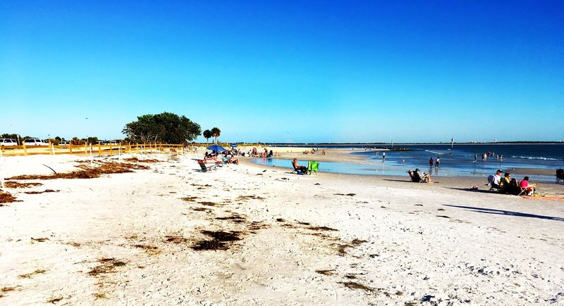 Honeymoon Island State Park, Florida