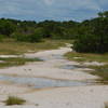 Honeymoon Island State Park