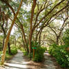 Boyd Hill Nature Preserve