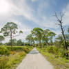 Boyd Hill Nature Preserve