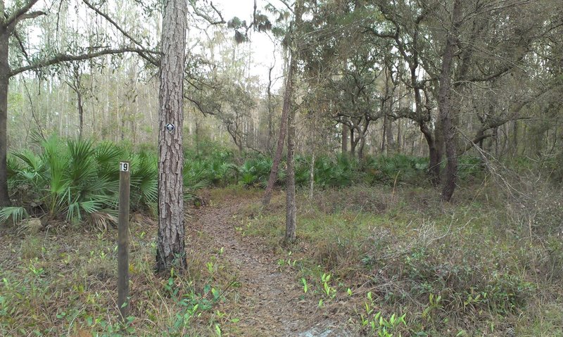 Typical trail marker.