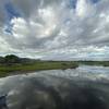 Myakka River State Park, Sarasota, Florida