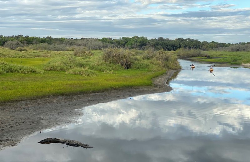 Myakka River State Park, Sarasota, Florida