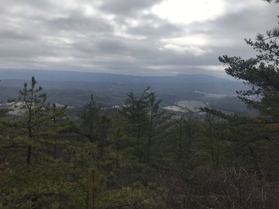 View to east towards Jump Rock from opening along Mill Mtn Trail