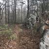 Nice rock formations along summit of Mill Mountain, next to trail.