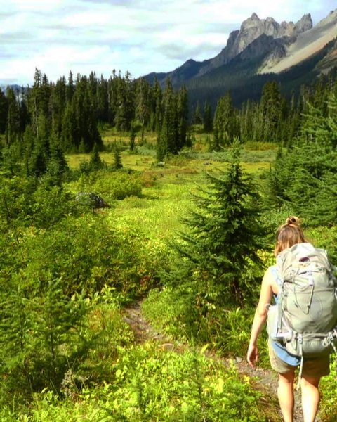 Meadow at bottom of decent on tomyhoi lake side of ridge