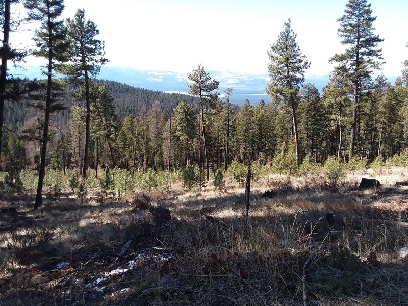 View from the trail looking across Tobacco plains and Koocanusa towards the West Kootenai