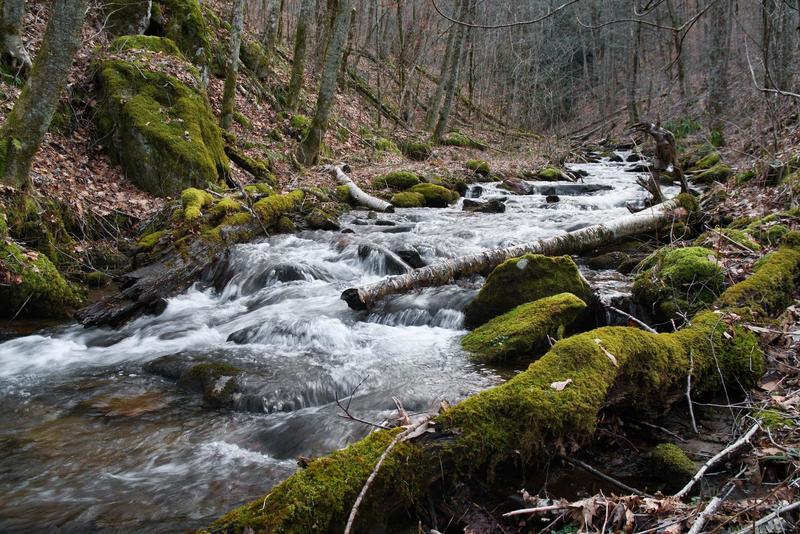 A look up Kimsey Creek on a late winter afternoon