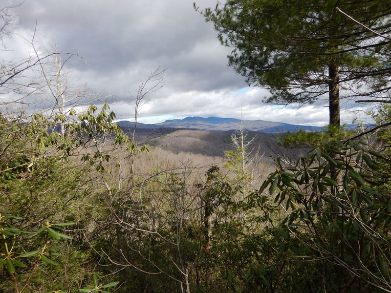 View of Grandfather Mountain from Raider Camp Trail