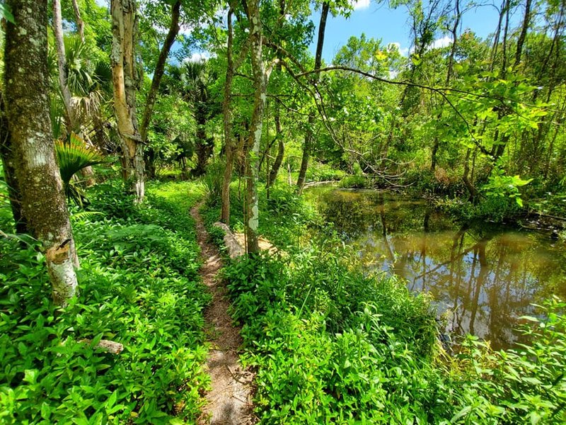 Limkpin Trail following along the banks of Soldier Creek