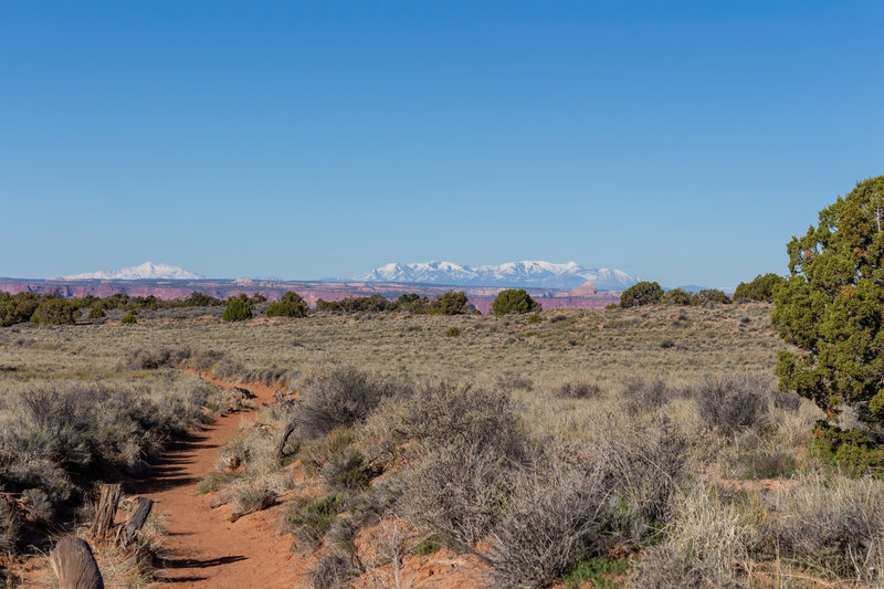 A glimpse of the snow covered Henry Mountains from Murphy Point Trail