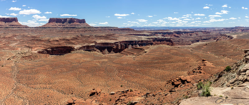 Junction Butte and the White Rim from Murphy Hogback