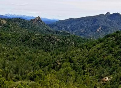 Overlook