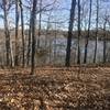 Lake view from orange trail