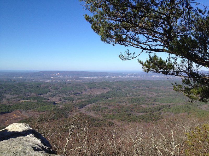 The View from Bald Rock