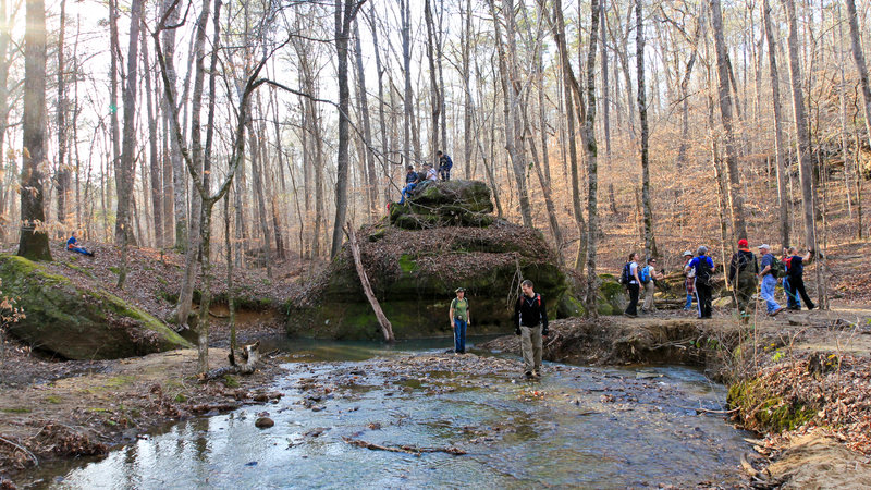 Sipsey Wilderness