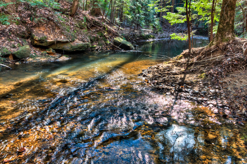 Sipsey Wilderness