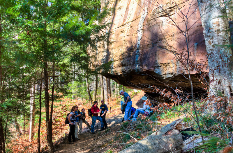 Sipsey Wilderness