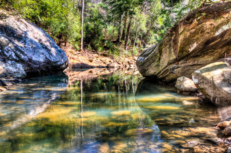 Sipsey Wilderness