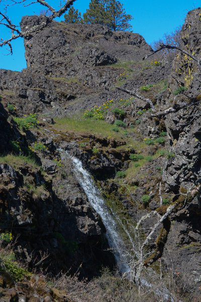 Labyrinth Creek Falls is small but pleasant when it's flowing.