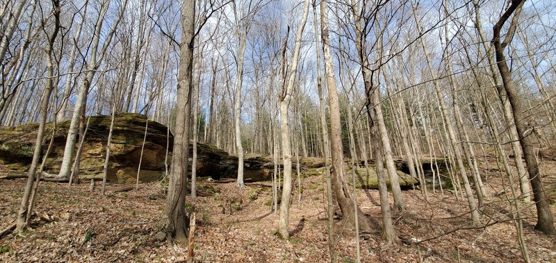 Sandstone rock ledge.