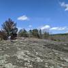 A view of the gentle slope of the granite dome.