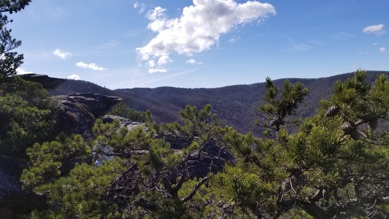 View from Big Lost Cove Cliffs