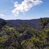 View from Big Lost Cove Cliffs