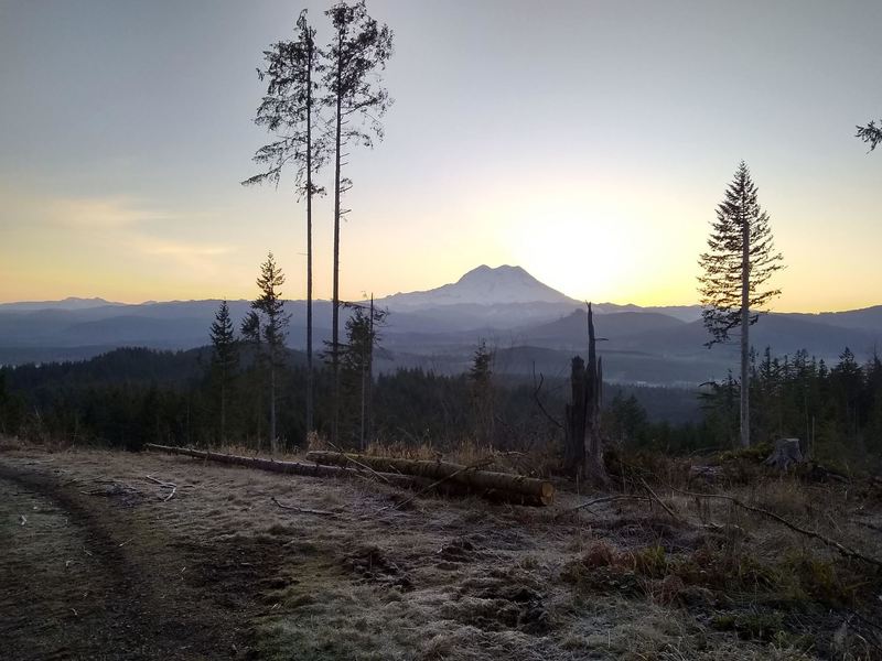 View of Mount Rainier from the 2000 Road at sunrise.