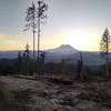 View of Mount Rainier from the 2000 Road at sunrise.