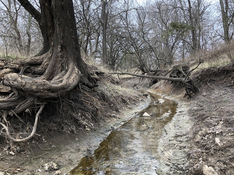 One of the muddy ditches you have to cross.  Wear your hiking boots!