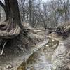 One of the muddy ditches you have to cross.  Wear your hiking boots!