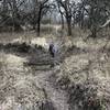 Another muddy ditch that doesn't slow down horses, but gives families a little challenge