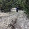 There's a big mix of cedar and deciduous tree sections all over the South trails.